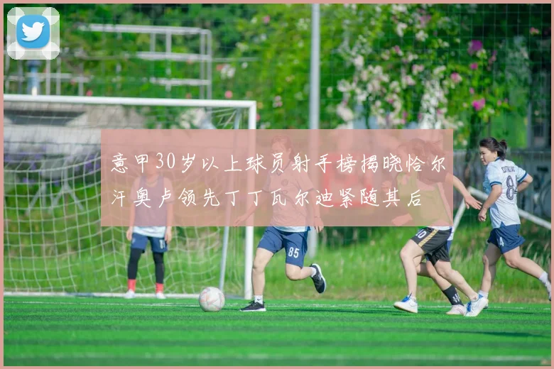 意甲30岁以上球员射手榜揭晓恰尔汗奥卢领先丁丁瓦尔迪紧随其后
